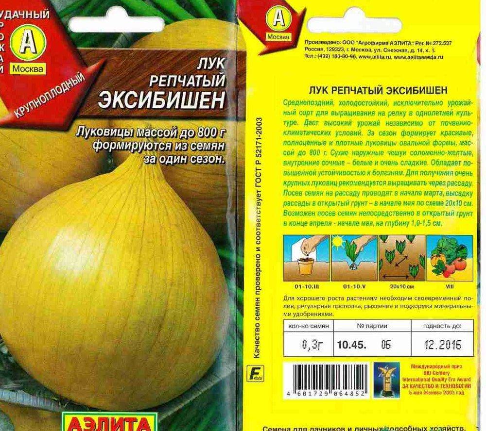 Описание сорта лука Эксибишен, выращивание через рассаду, посадка и уход