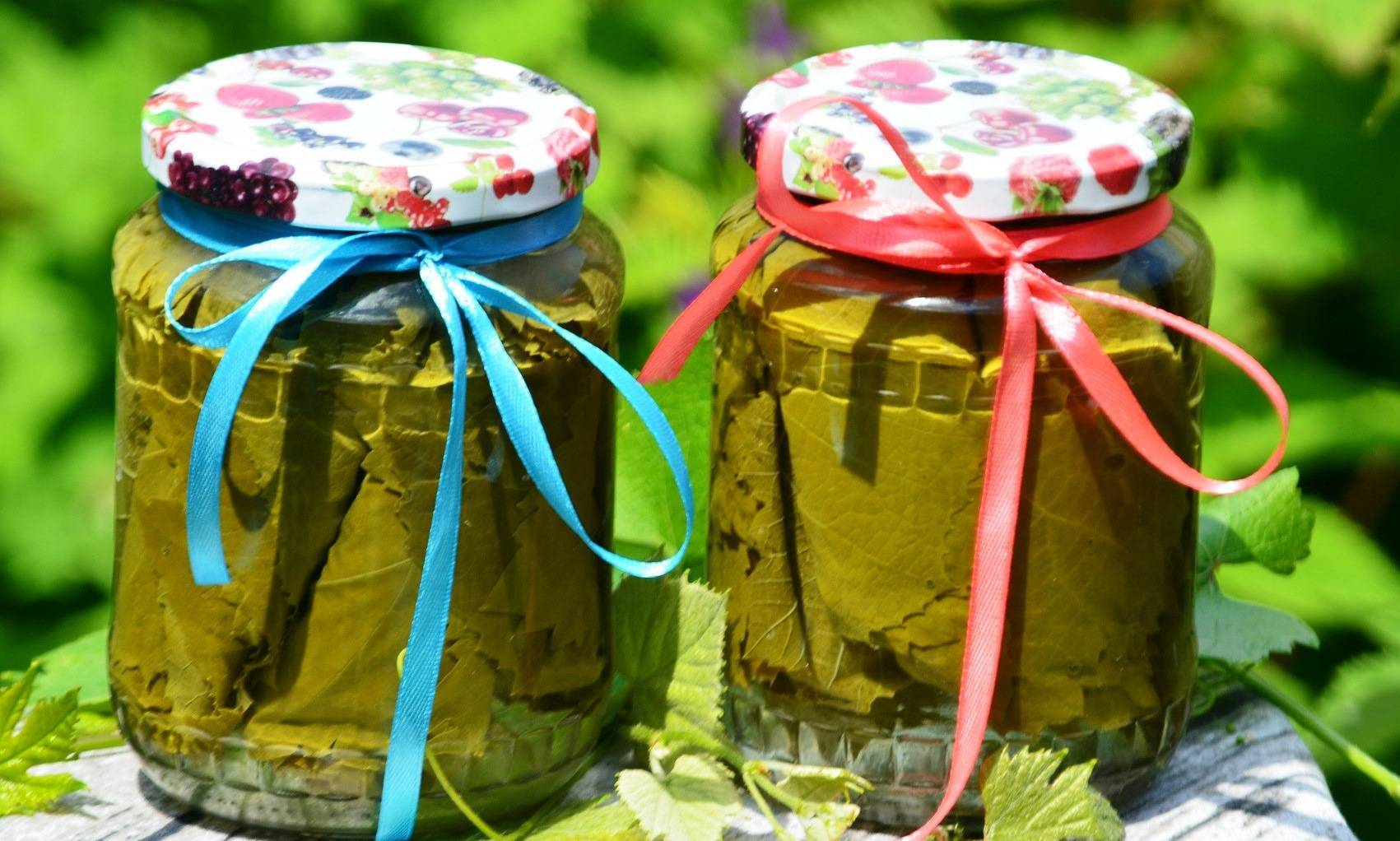Как мариновать и солить листья винограда для долмы на зиму (рецепт)