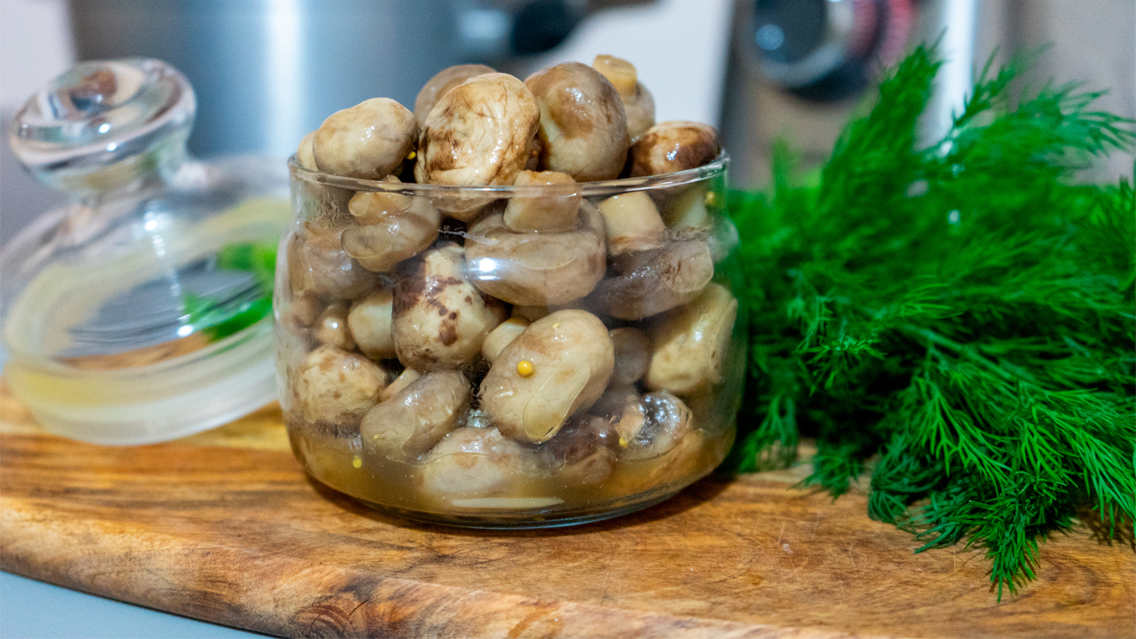 Засолка шампиньонов. вкусные и быстрые рецепты