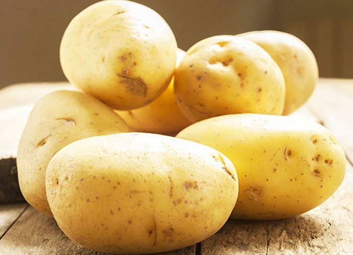 Картофель коломбо (коломба): описание сорта, фото, выращивание и уход
