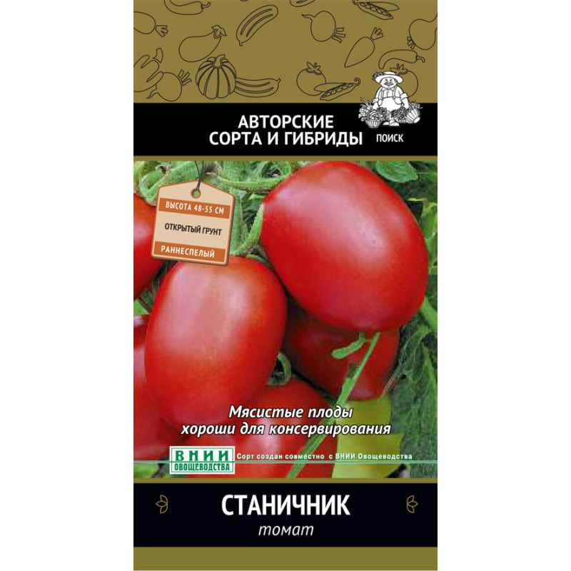 Томат дачник – характеристика и описание сорта, фото, урожайность, отзывы тех, кто сажал, видео