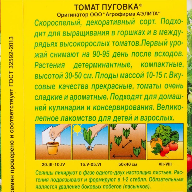 Томат пуговка: характеристика и описание сорта помидоров, его особенности и лайфхаки для высокой урожайности