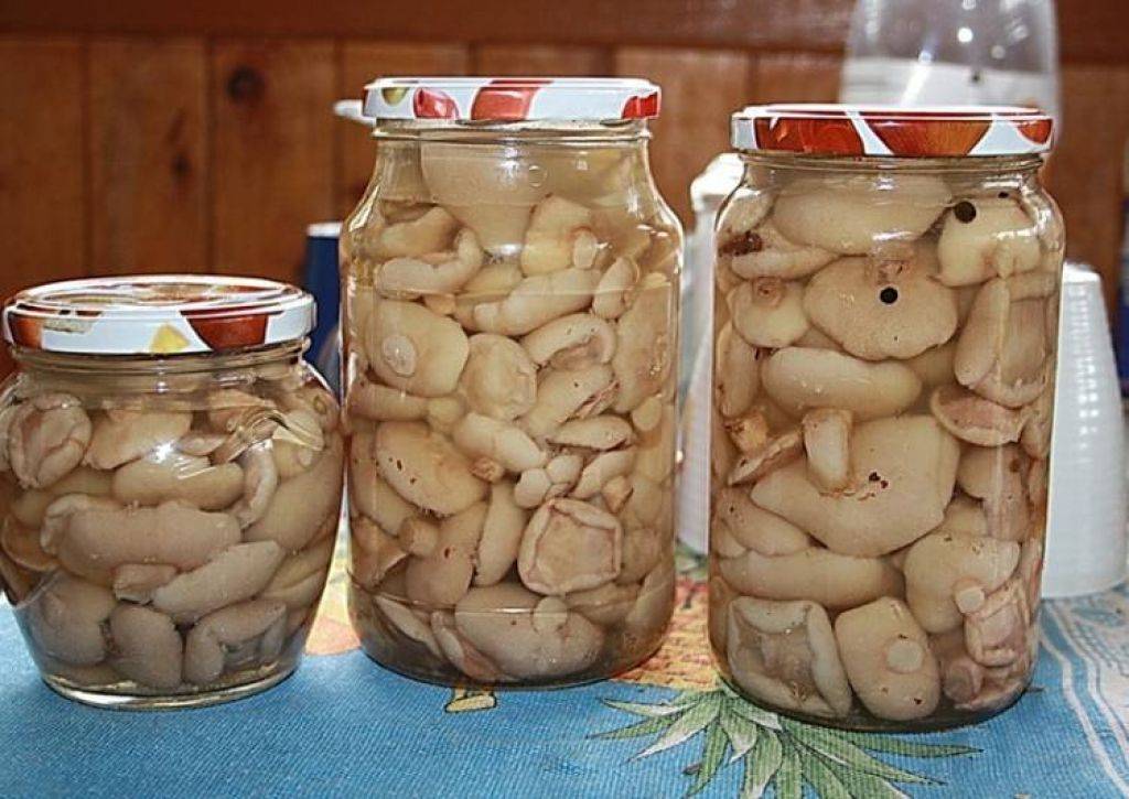 Маринованные маслята на зиму – простые и вкусные рецепты