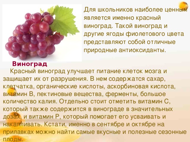 Виноград: польза и вред для организма женщины и мужчины | питание и наука