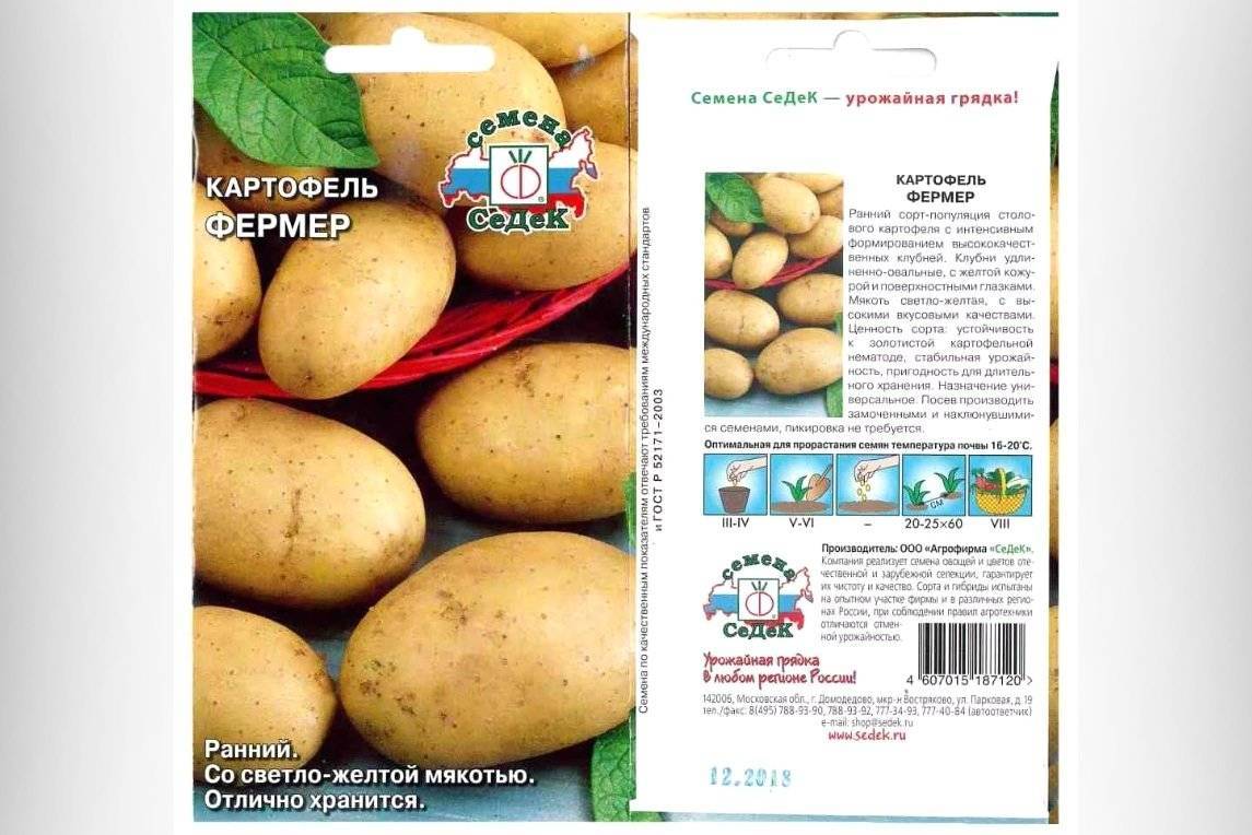 Картофель елизавета: характеристика сорта, вкусовые качества, посадка и уход
