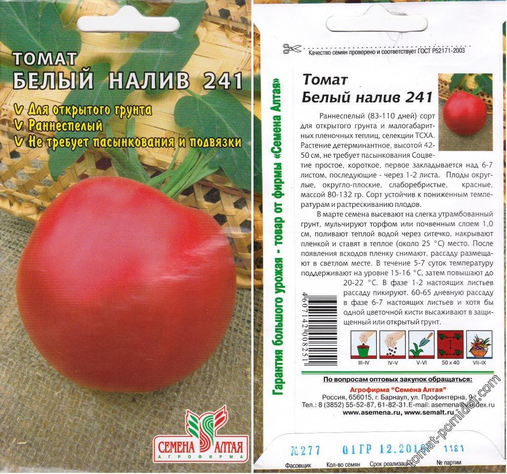 Томат белый налив 241, помидоры, описание сорта, фото, отзывы