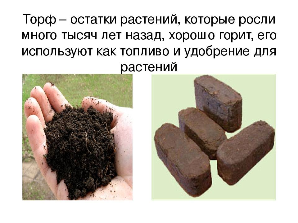 Торф картинки для презентации