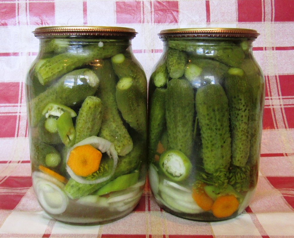 Маринованная капуста в банке: очень вкусные рецепты капусты на зиму