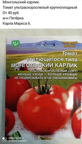 Какие бывают ультраскороспелые сорта помидоров  для открытого грунта?