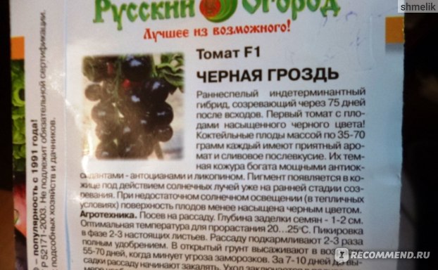 Томат черная гроздь: описание и урожайность сорта, фото, отзывы
