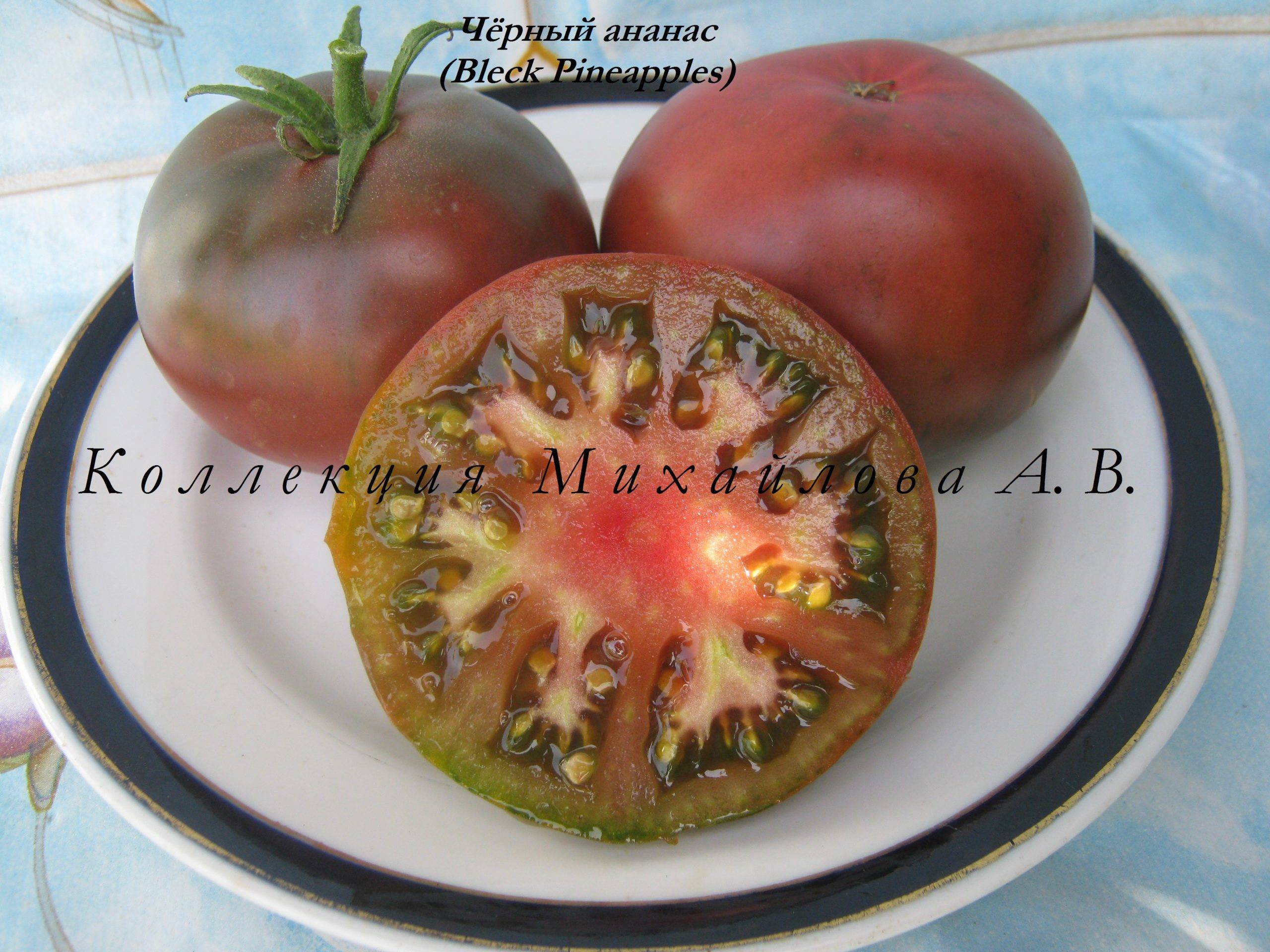 Томат черный ананас: описание и характеристика сорта с фото