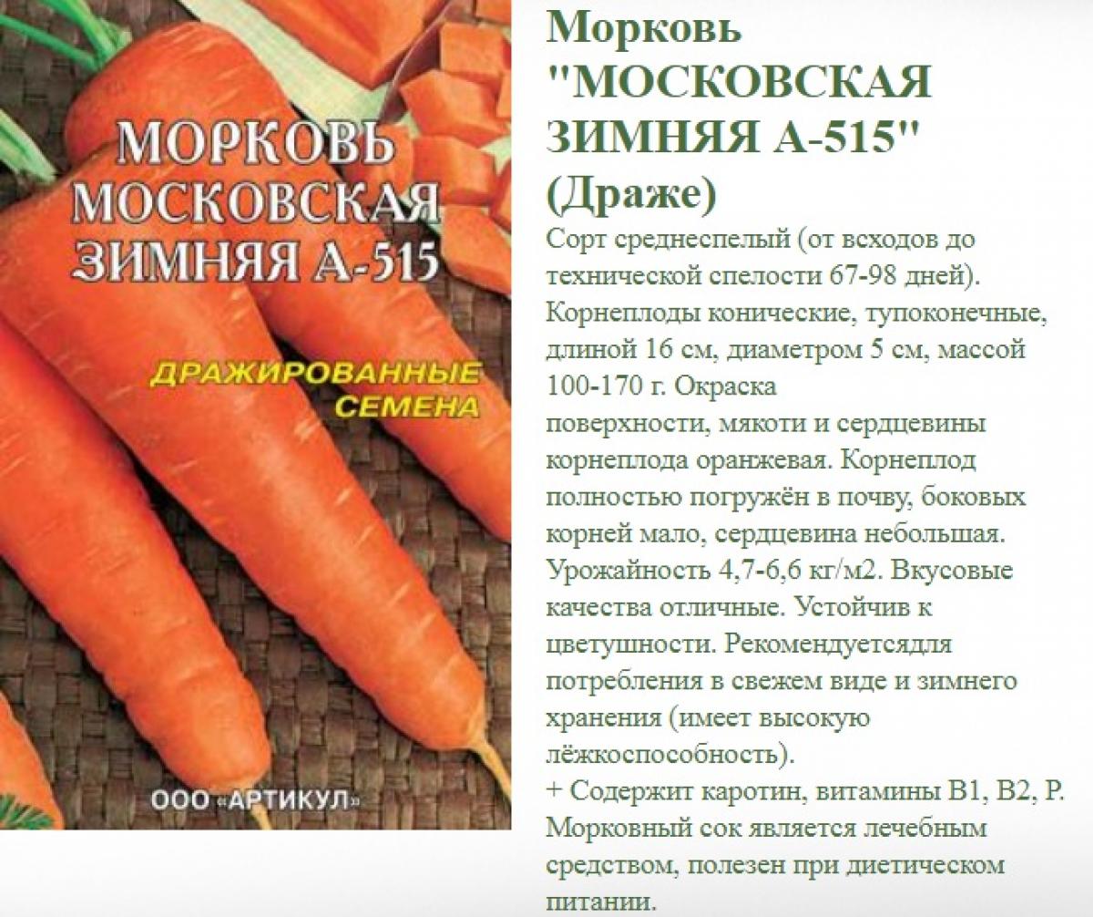 Морковь нантская: описание сорта, характеристики, выращивание и уход