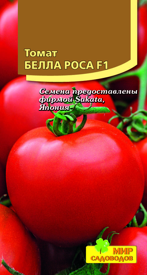 Поразит урожайностью и вкусом — томат «белле f1» и секреты агротехники от огородников со стажем