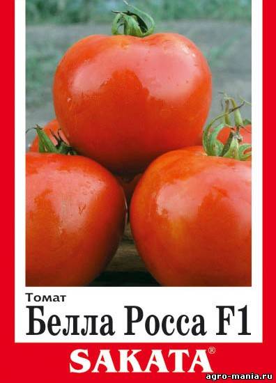 Томат белла роса (bella rosa) f1: описание раннего сорта, отзывы и фото, принципы выращивания, посадка и уход, урожайность гибрида