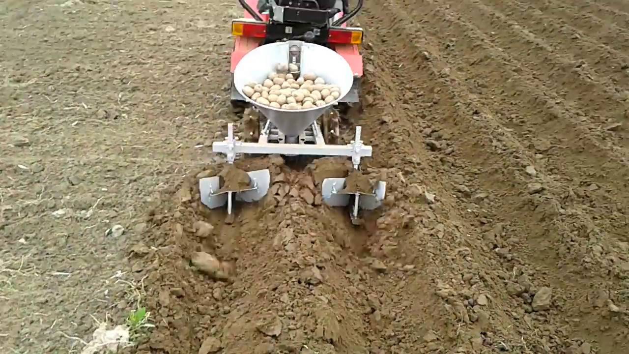 Трактор для обработки картофеля: окучивание, посадка, видео