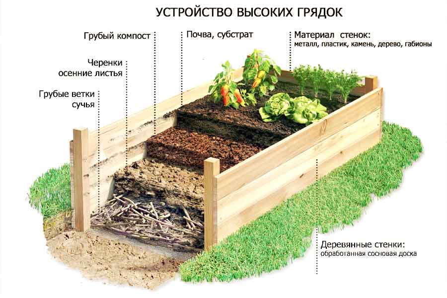 Перегной: что это, виды, перегноя, как сделать самостоятельно, применение