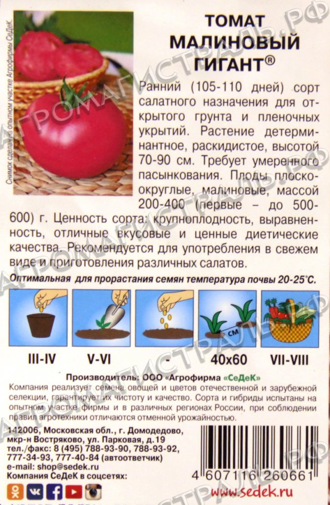 Малиновый звон томаты описание сорта фото