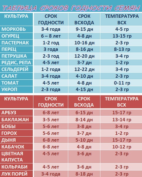 Сроки хранения семян овощей без потери всхожести: рекомендации по хранению