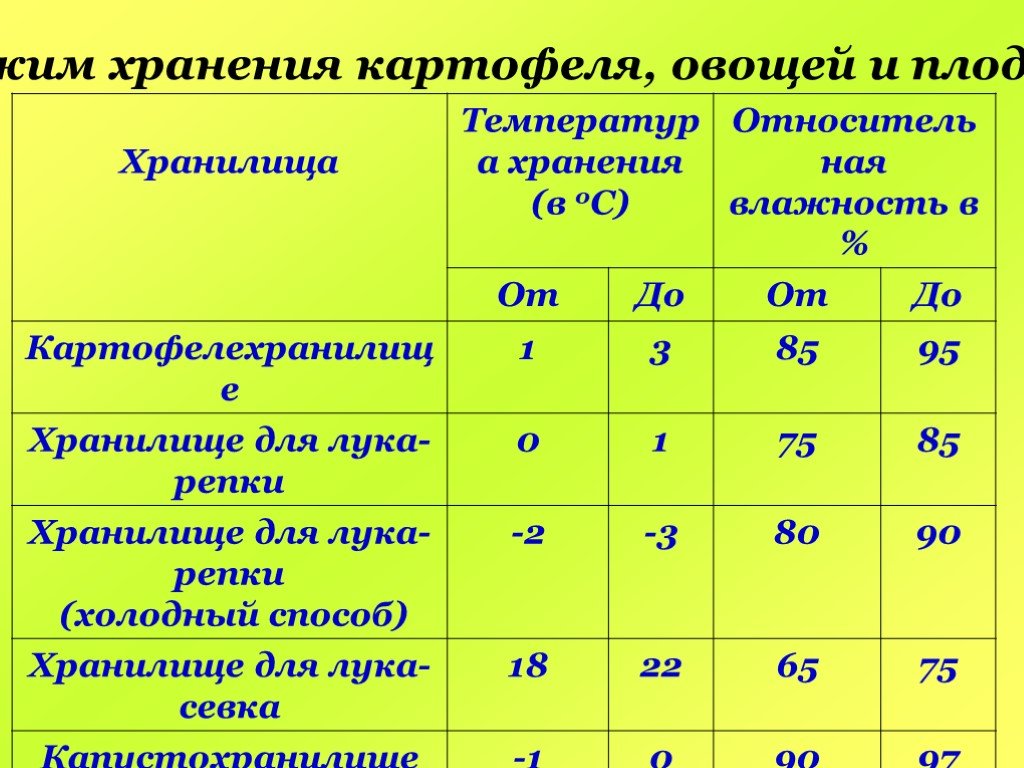 Как хранить картофель долго в домашних условиях