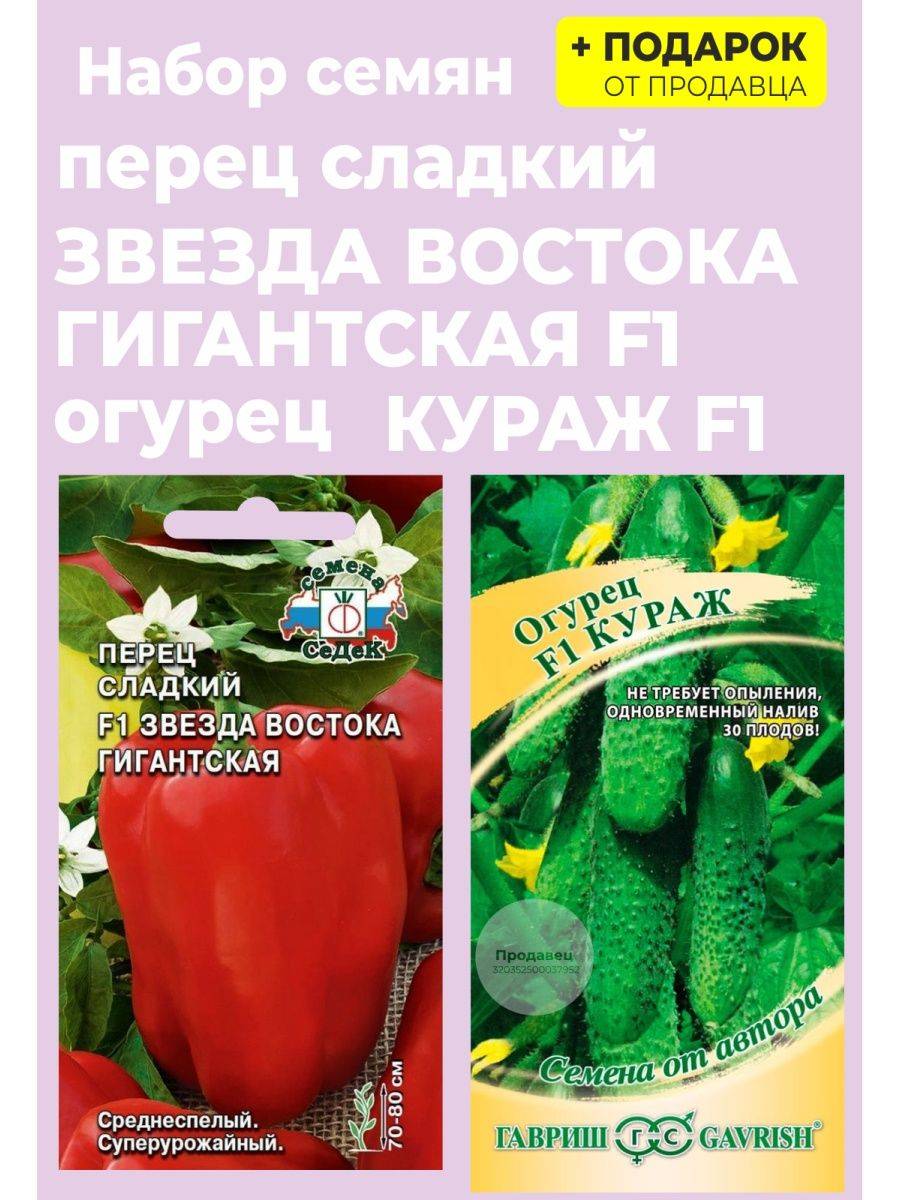 Перец богатырь: описание урожайного красного болгарского сорта, особенности выращивания и ухода