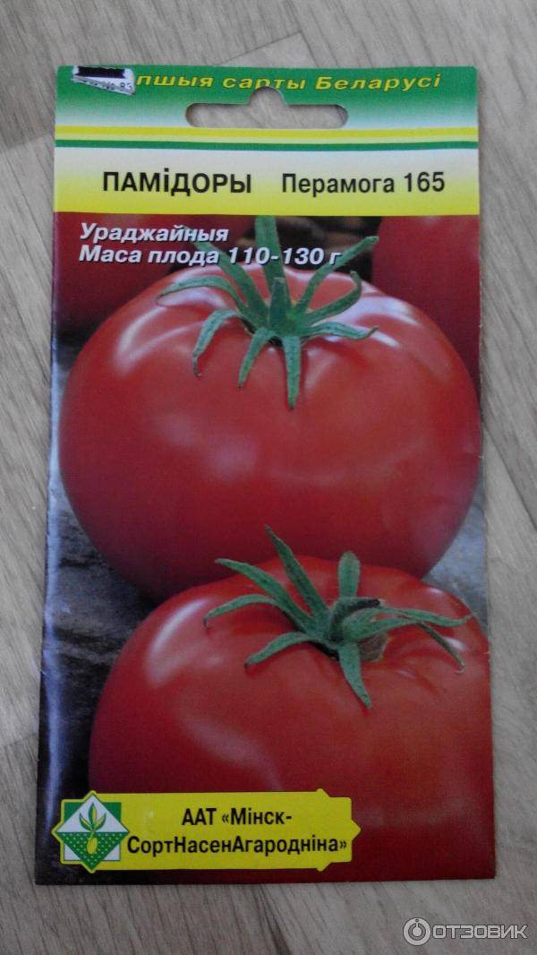 Сорта позднеспелых томатов: описания лучших и их выращивание