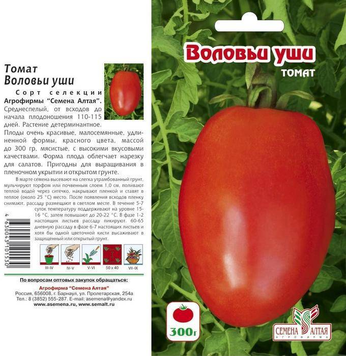 Перспективный великан с отличным вкусом — томат дядя степа: описание сорта и его характеристики