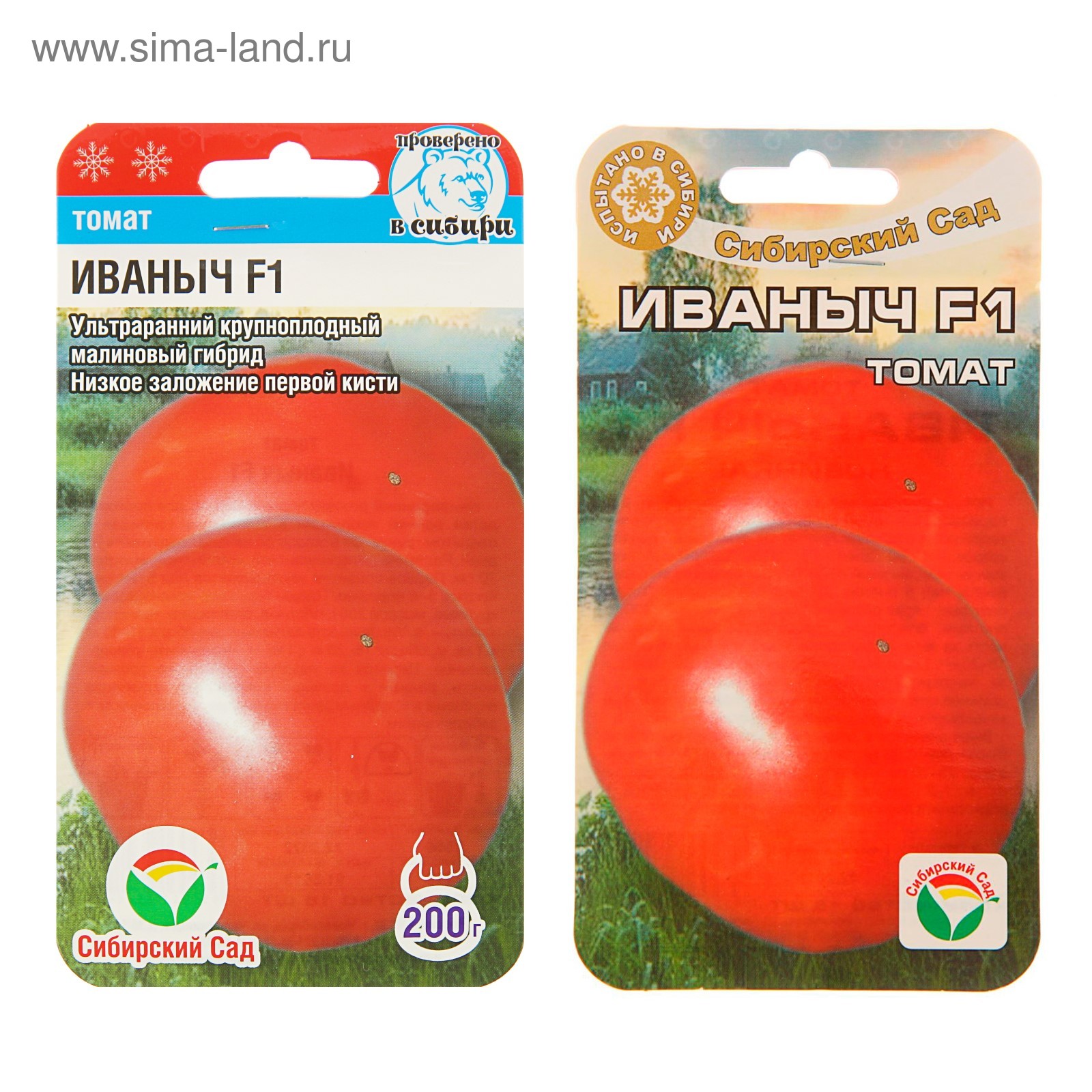 Сибирский сад томат Иваныч f1