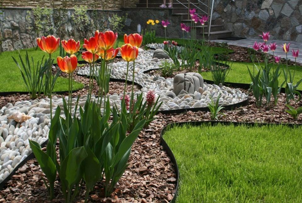 Как красиво посадить тюльпаны: схема и идеи для ландшафтного дизайна