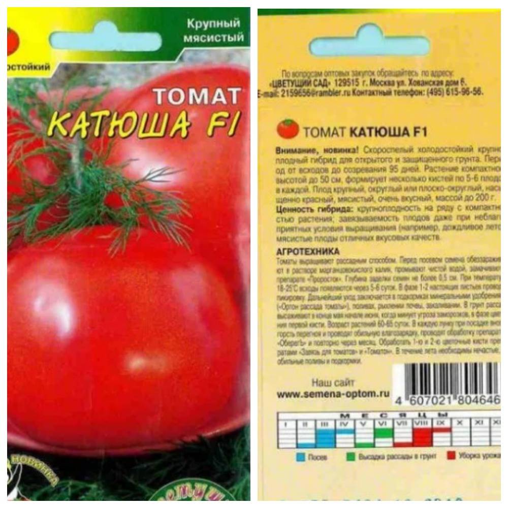 Описание гибридного томата Катюша F1 и агротехнические правила выращивания