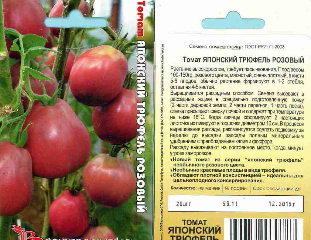 Томат чили верде: отзывы о помидорах, описание и характеристика сорта, фото семян