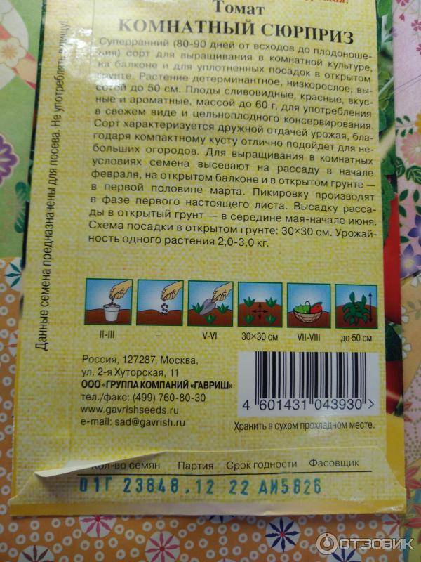 Томат комнатный сюрприз характеристика и описание сорта фото