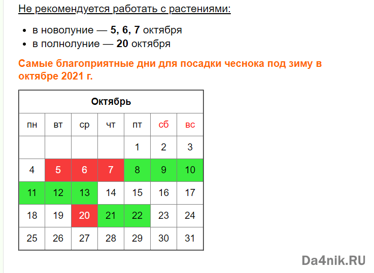 Когда убирать чеснок, посаженный под зиму в 2021 году по лунному календарю и по регионам: таблица