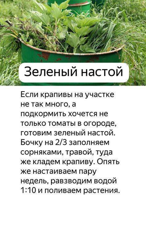 Удобрение из крапивы: как сделать настой для подкормки растений