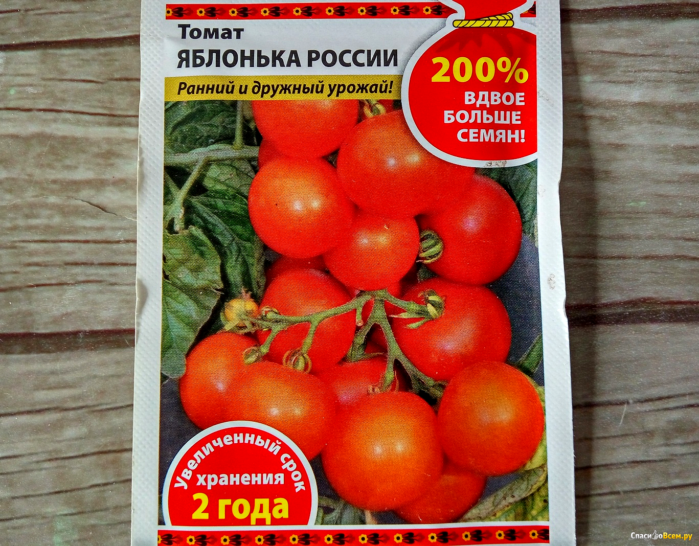 Томат яблонька россии: отзывы, описание, выращивание, урожайность, характеристики с фото