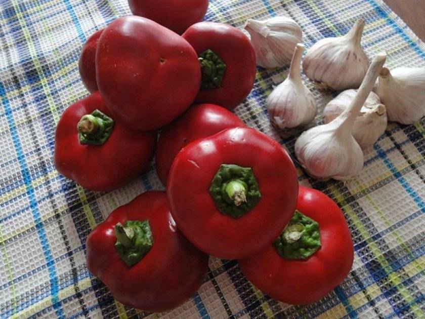 Характеристика и описание сортов перца гогошары (ратунда), выращивание и уход