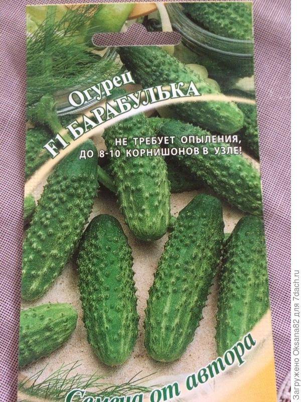 Огурец барабулька: описание, выращивание, уход, фото