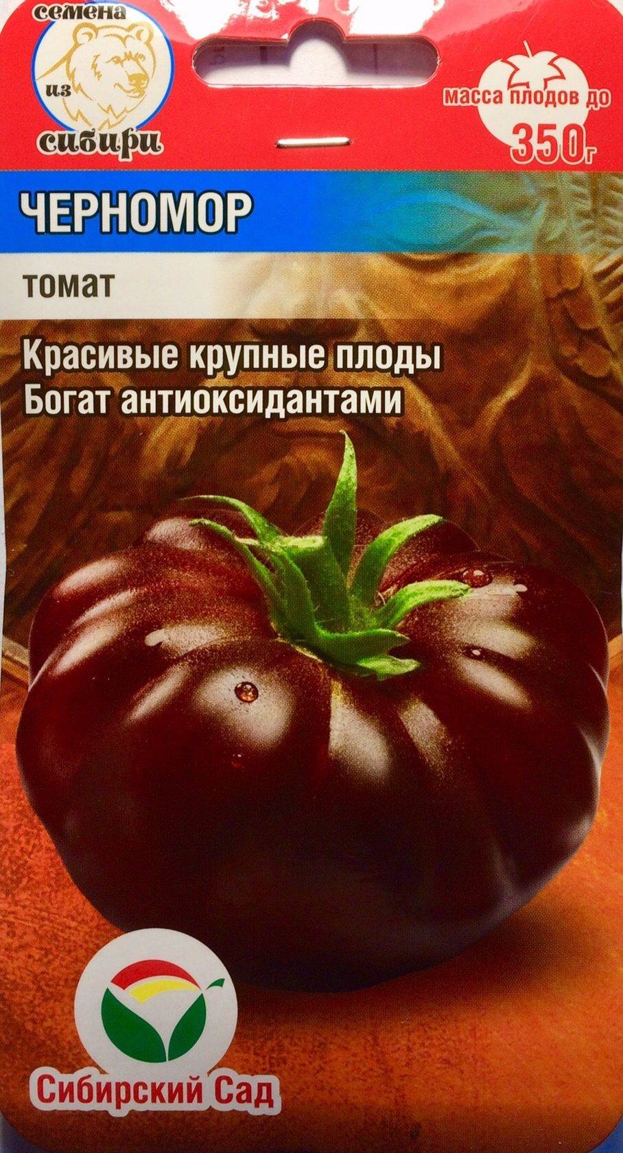 Томат черномор: описание сорта, урожайность и выращивание с фото