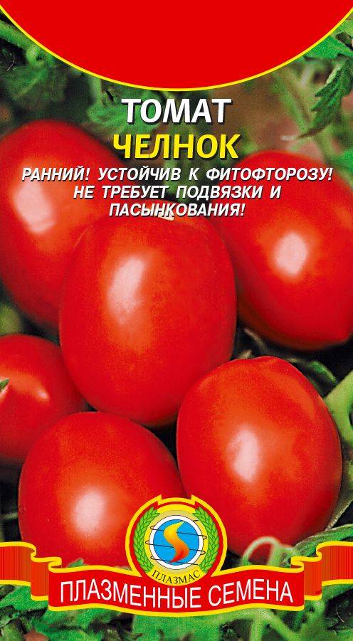 Томат челнок. Томат челнок в теплице. Челнок томат описание. Томат челнок характеристика и описание.