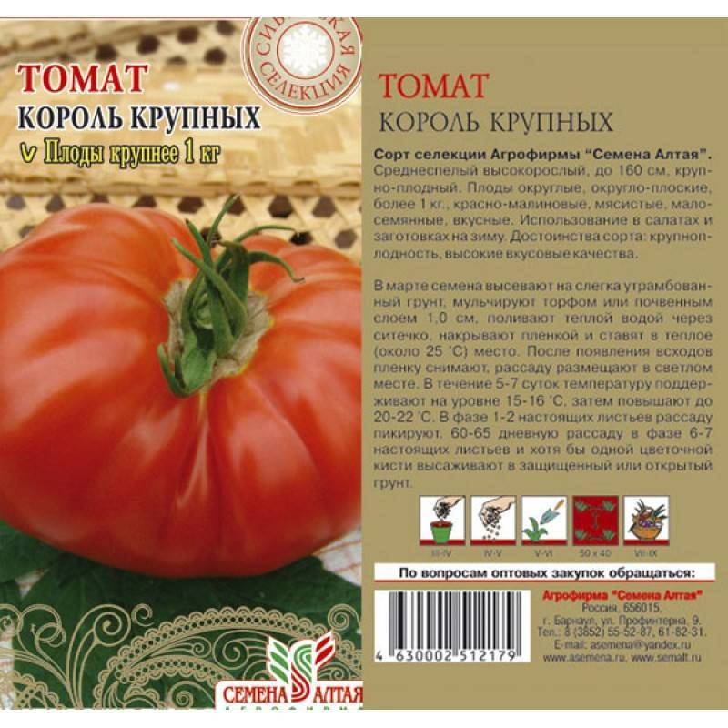 Сорт томата король королей - описание, посадка и выращивание