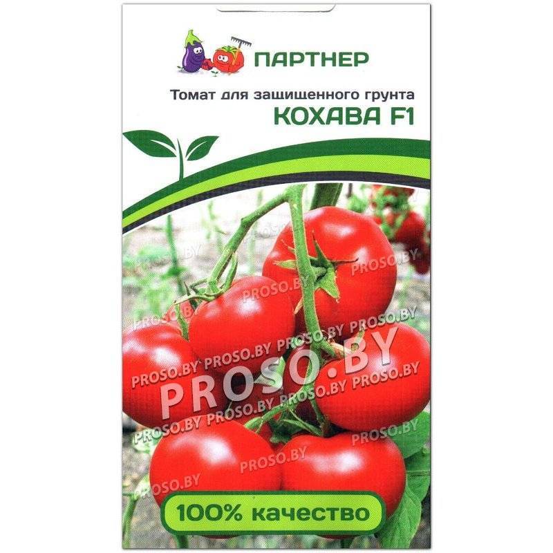 Томат гаспачо: характеристика и описание сорта, видео и фото куста, отзывы тех кто сажал помидоры об их урожайности