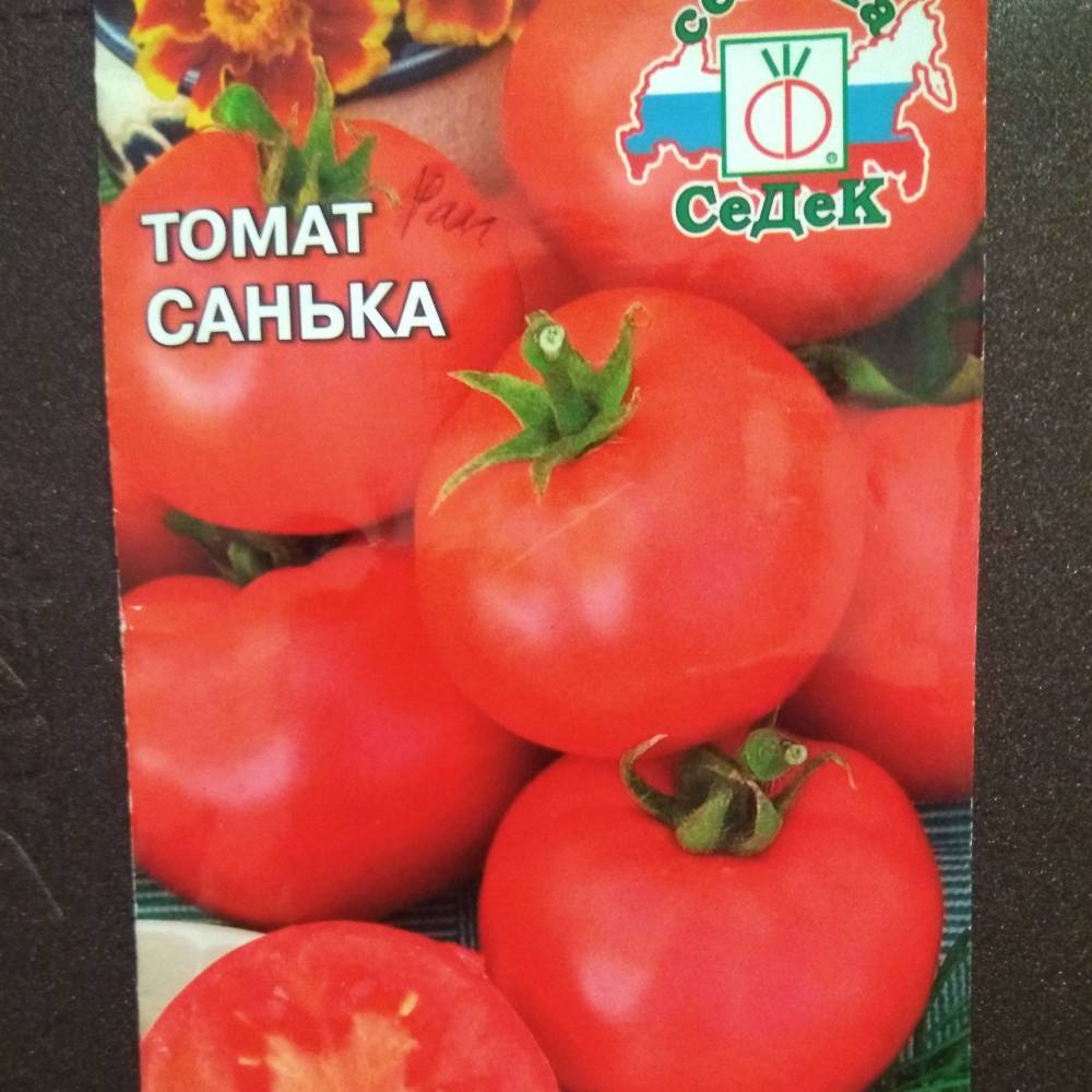 Томат санька: подробное описание, характеристика сорта помидор