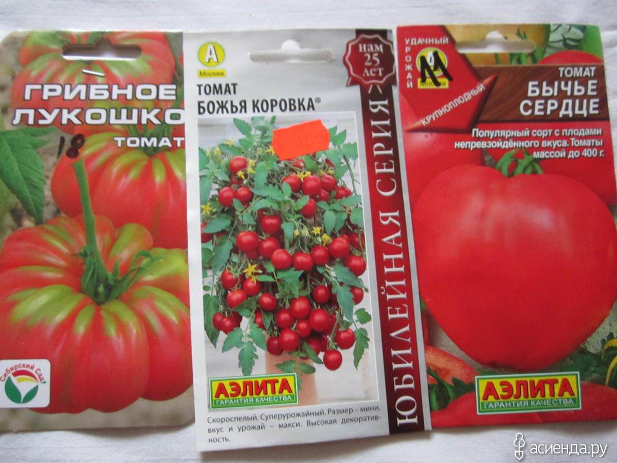 Томат божья коровка: описание сорта, отзывы, фото, урожайность