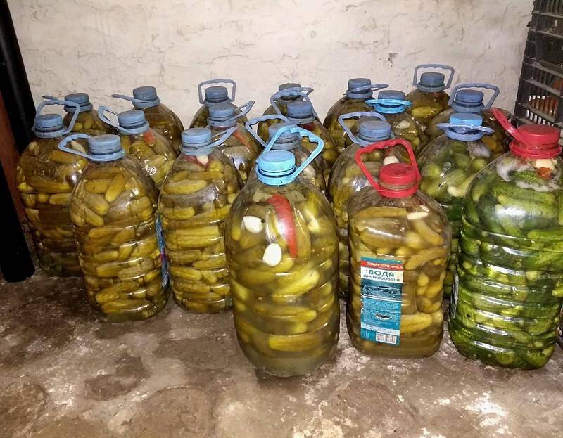 Рецепты соленых огурцов в 5 литровых пластиковых бутылках на зиму