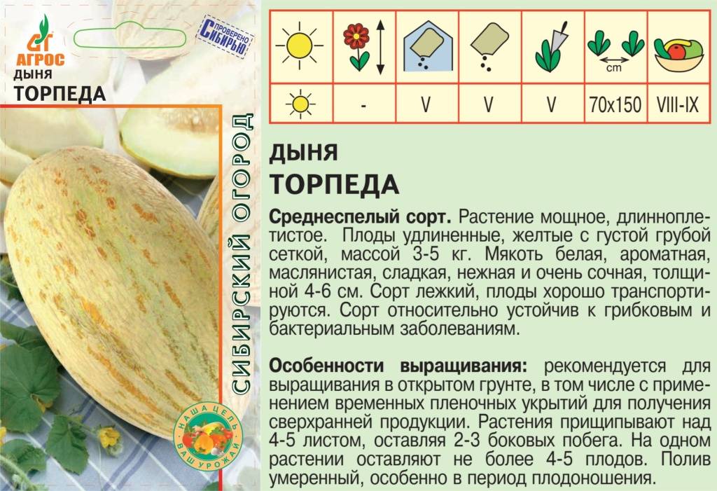 Дыня торпеда: как выбрать, чем полезна, как вырастить самостоятельно, преимущества и недостатки сорта