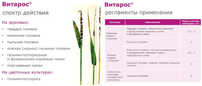 Цитросепт. инструкция по применению. справочник лекарств, медикаментов, бад