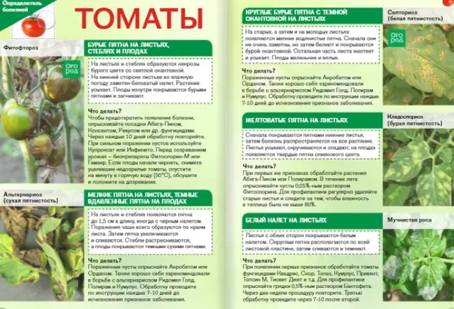 Болезни томатов причины, профилактические меры, борьба