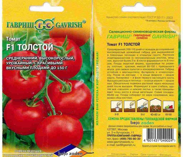 Томат толстой f1 (55 фото): описание сорта, как вырастить рассаду помидоров, какая урожайность, отзывы, видео