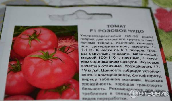 Розовые томаты: лучшие сорта и гибриды розовых помидоров