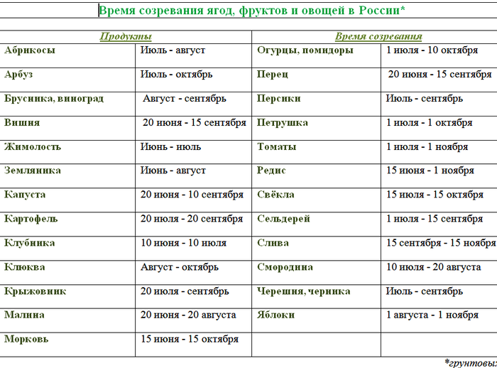 Таблица овощей по месяцам