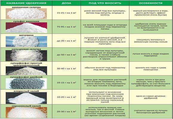 Таблица подкормок овощных культур: виды удобрений, дозировки, сроки